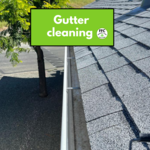 Gutter & Downspout Cleaning
