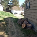 Tree Service Project