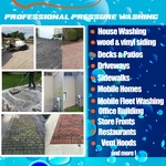 Services we offer