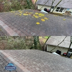 Roof Cleaning Project