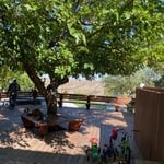 Borger TX