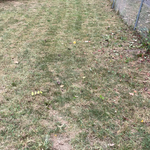 Spring clean up