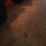 Carpet cleaning