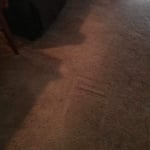 Carpet cleaning