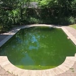 Green to Clean