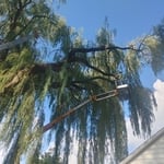Tree Service Project