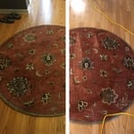 Wool rugs with pets hair and stains
