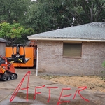 Oak tree removal