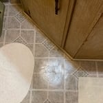 Flooring Sales/Installation/Repair Project