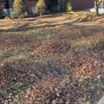 Leaf mulching