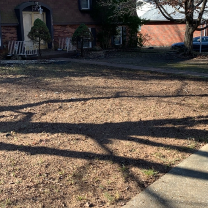 Leaf mulching