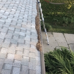 Gutter Cleaning Project