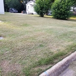 Lawn & Yard Work Project