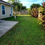 Landscaping Project