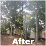 Tree Service Project