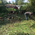 Additional Photos