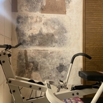 Mold Testing & Remediation Project
