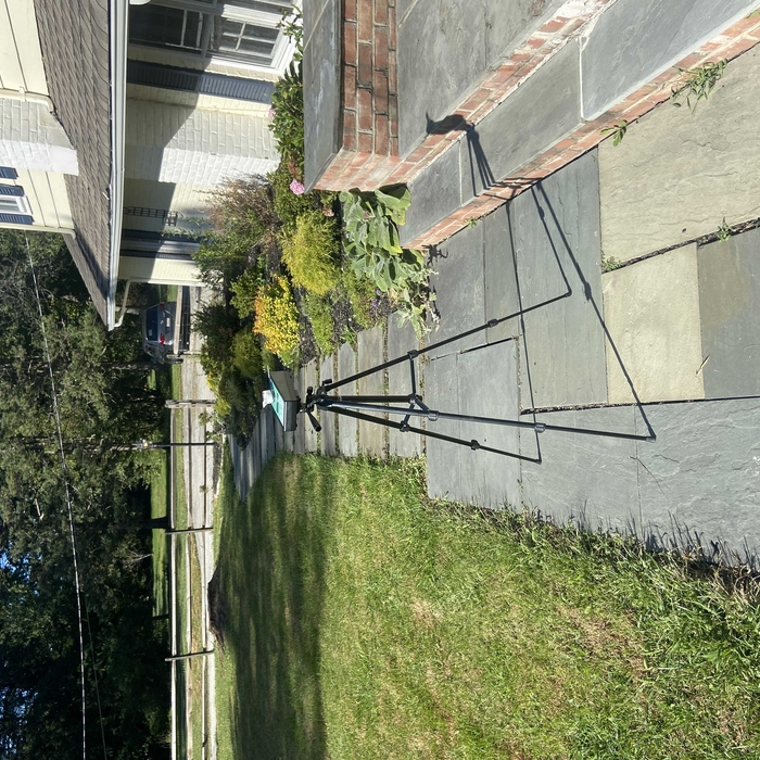 Mold Testing & Remediation Project