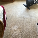Carpet cleaning