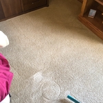 Carpet cleaning