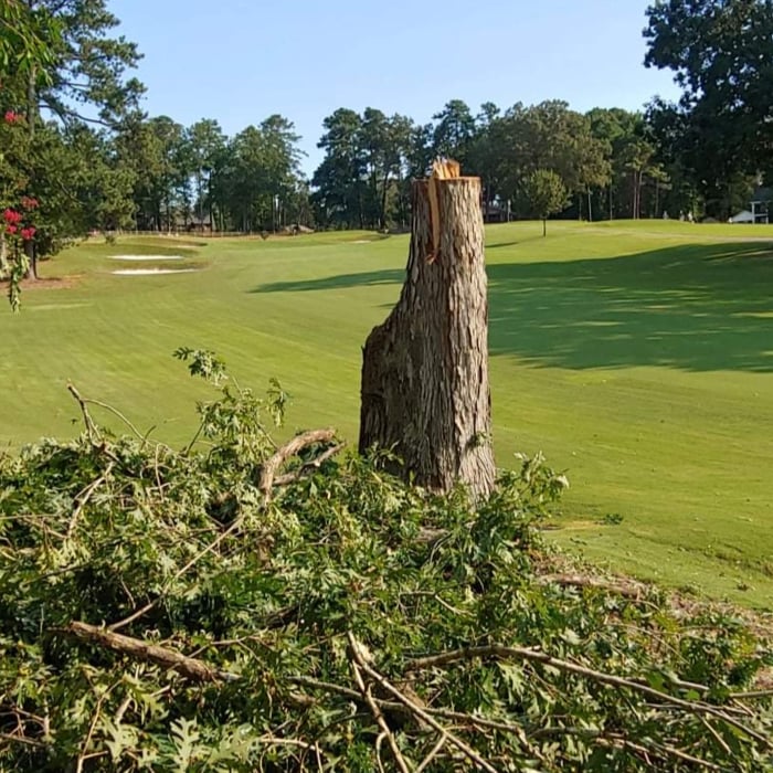 Country Club Tree Removal
