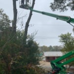 Old Dead Tree - 5 Star Review