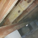Letting like a new wood.