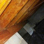 Letting like a new wood.
