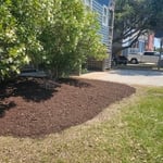 Fresh mulch