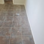 Housecleaning Project