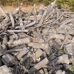 Wood for sale!!