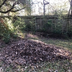 leaf removal
