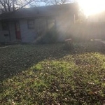 leaf removal and yard work