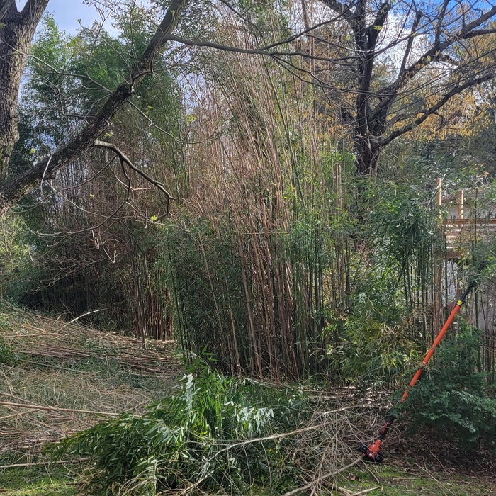 Bamboo toping