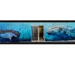 Full view of 40ft mural