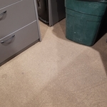 Soiled carpeting