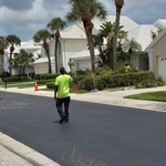 Sabal palms trimmed