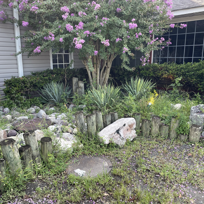Additional Photos