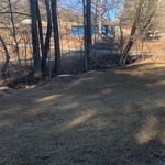 After pictures of tree removal.
