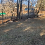 After pictures of tree removal.
