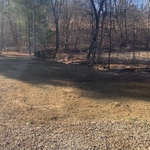 After pictures of tree removal.