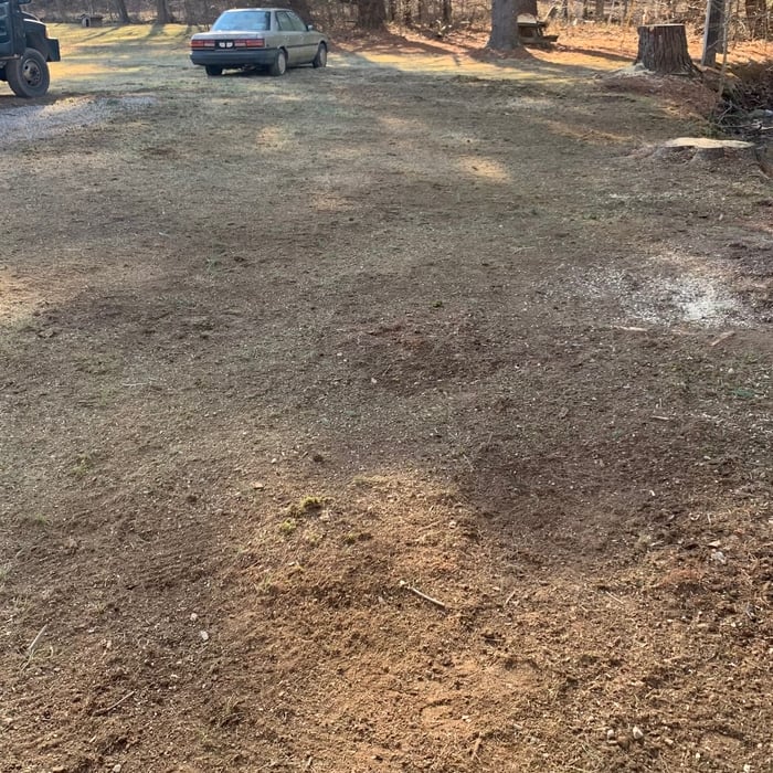 After pictures of tree removal.