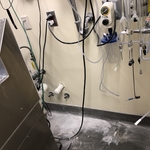 Drywall and Painting
