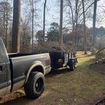 Tree Service Project