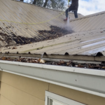 Roof cleaning