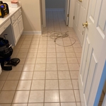 BEFORE tile tear out
