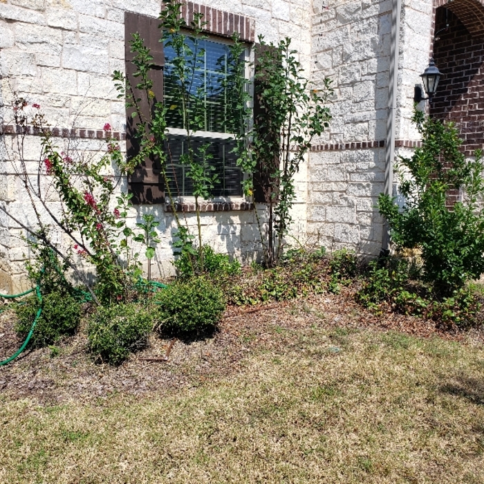 Landscaping