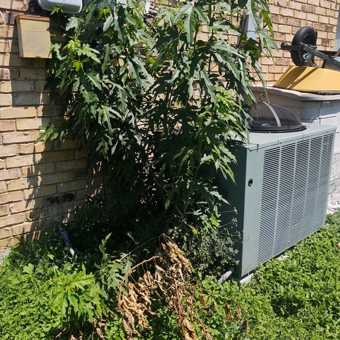 Additional Photos