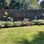 Landscaping Project