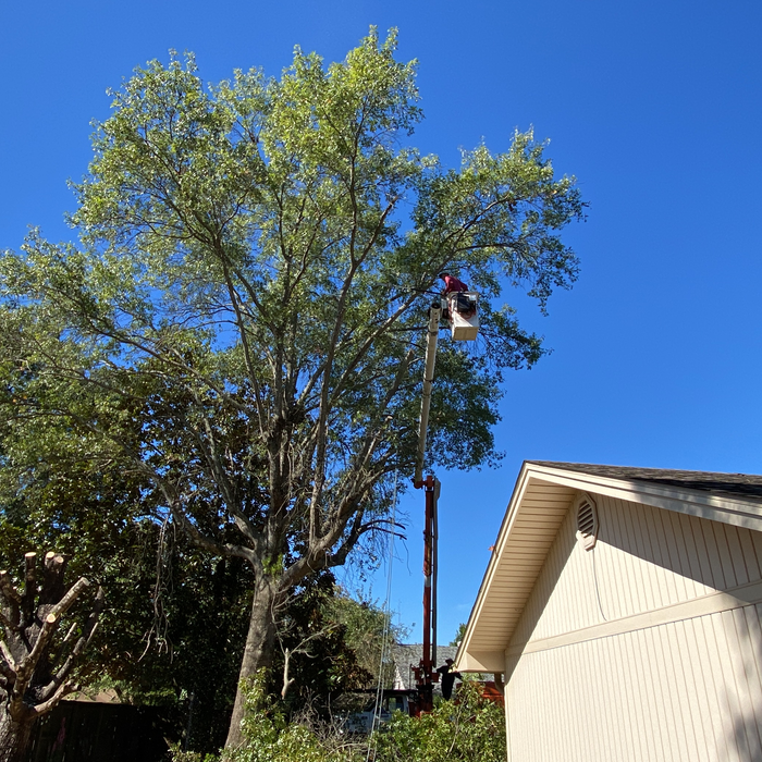 Additional Photos